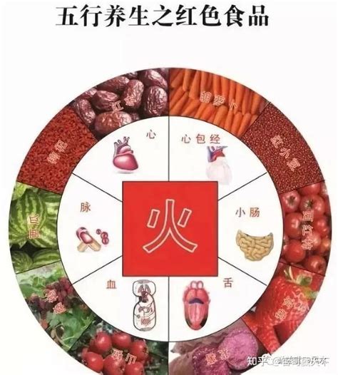 五行屬金的食物|五行属金的食物有哪些？